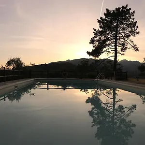 https://agriturismo-il-pino-san-martino-in-freddana.it-tuscanyhotel.com
